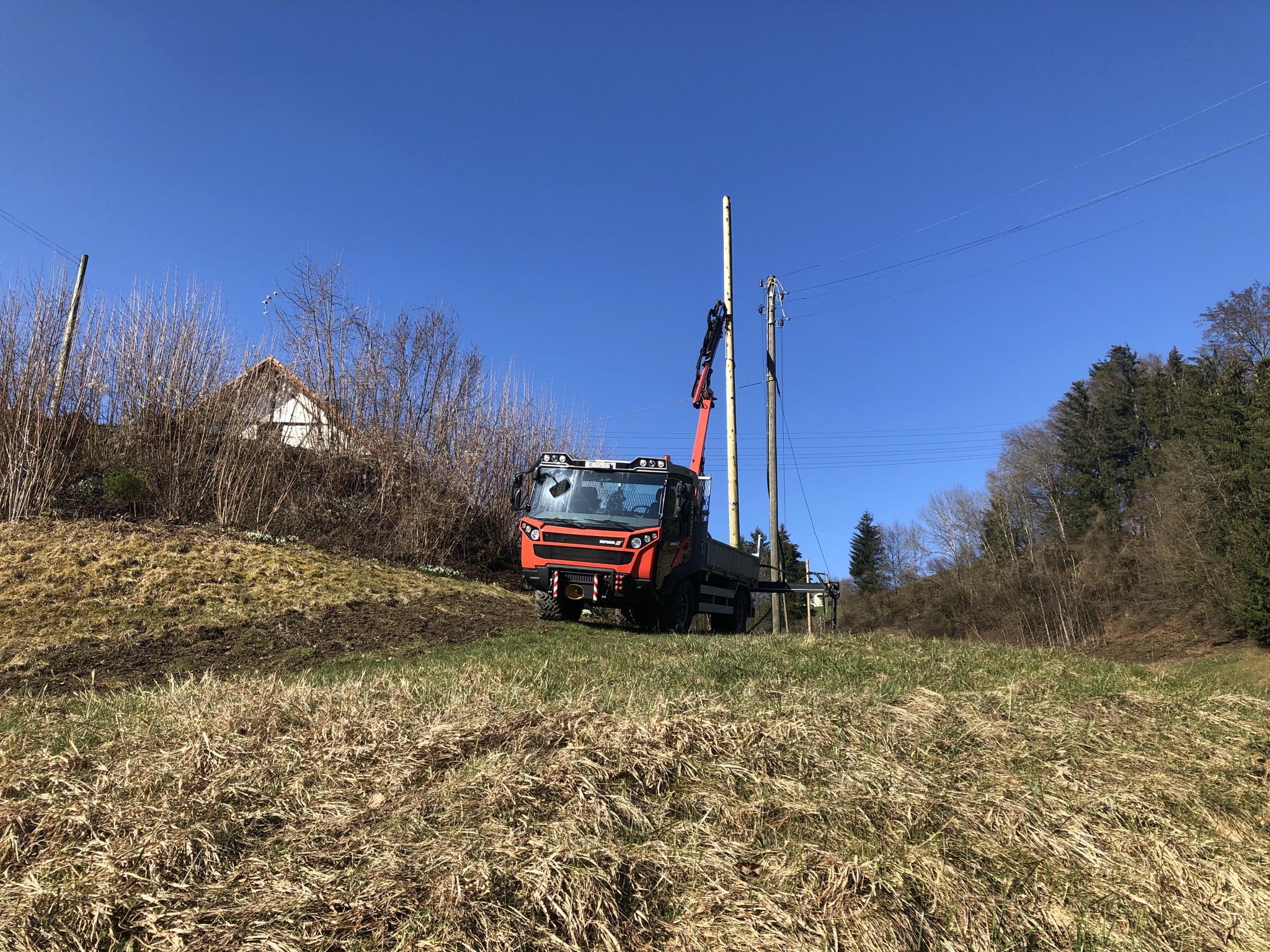 Reform Muli Demontage Holzmasten