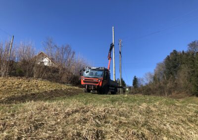 Reform Muli Demontage Holzmasten