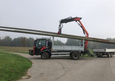 Reform Muli Demontage Telefonstangen