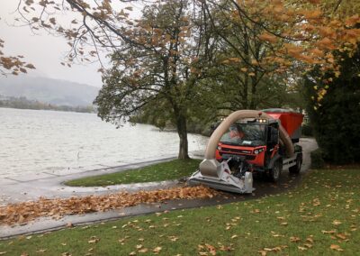 Reform Muli Laub saugen Luzern