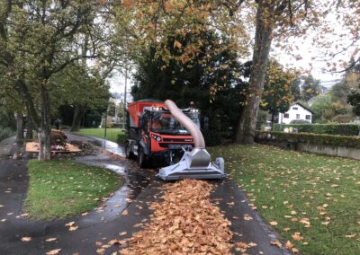 Reform Muli Laub saugen Luzern