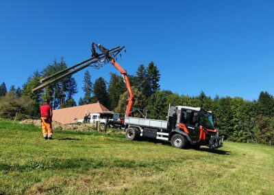 Reform Muli im Einsatz