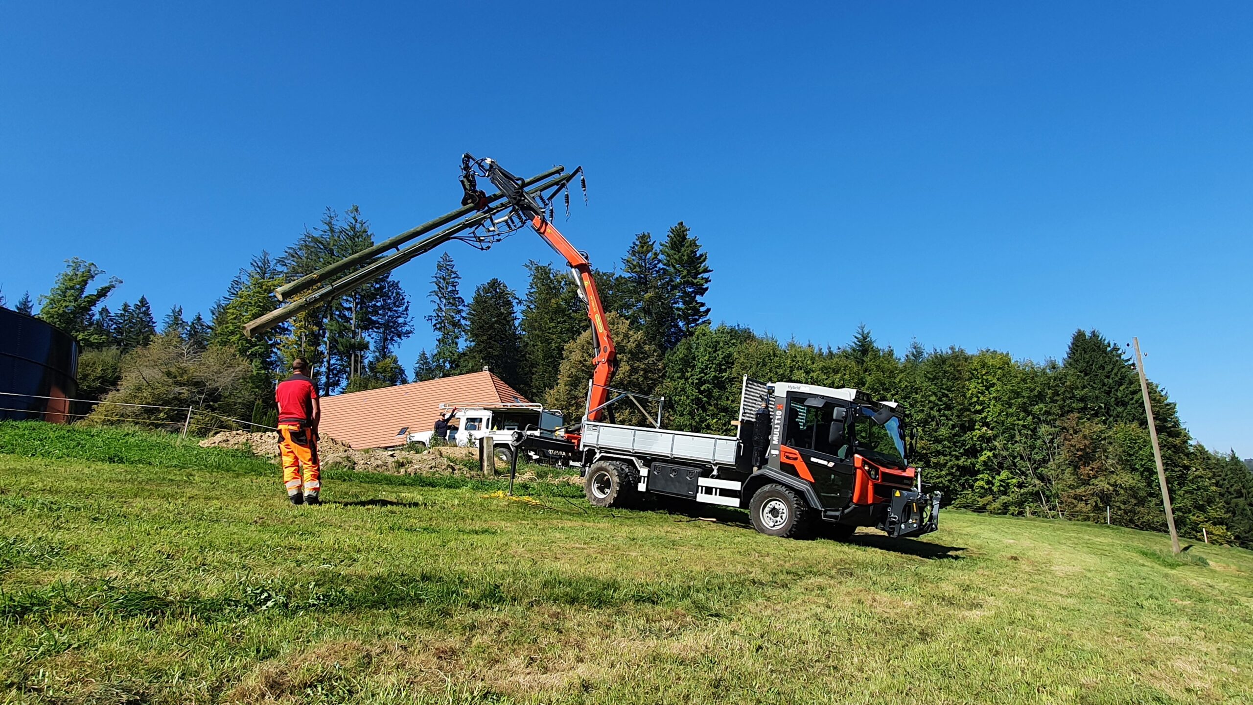 Reform Muli im Einsatz