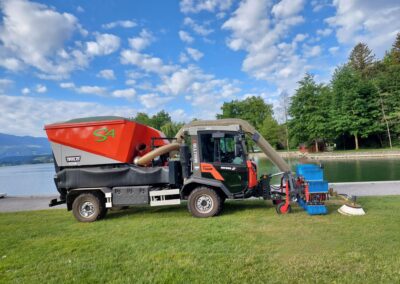 Reform Muli saugen auf Rasen