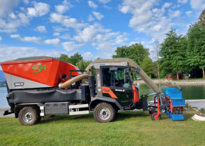 Reform Muli saugen auf Rasen